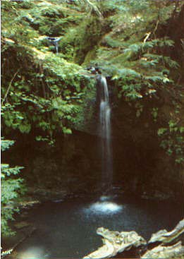 Big Basin Waterfall