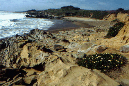 Highway 1 View