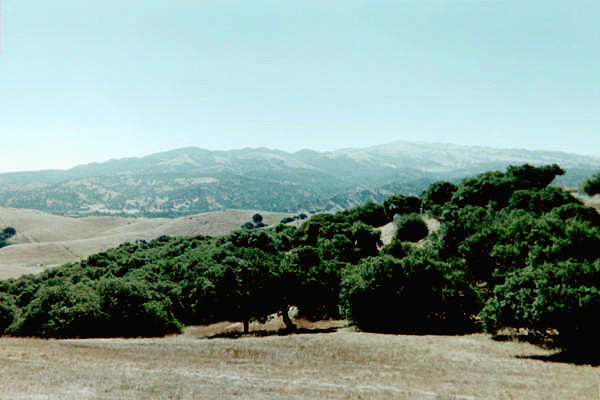 Laguna Seco Hills